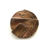 Ed.Vilde nimelise kirjanduspreemia medal