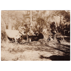 I Maailmasõda - Saksa okupatsioon Lätis 1918, originaalfotod